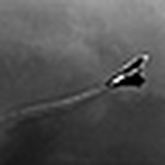 Profile Picture of Bird Eye (@bird eye) on Flickr