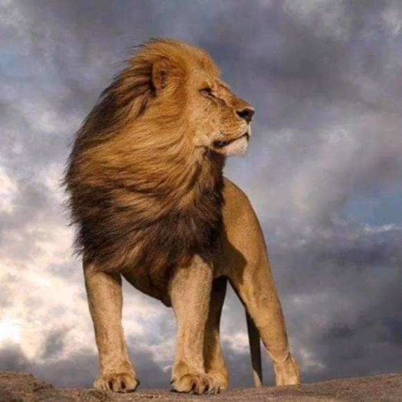 Profile Picture of Abebaw Mekonnen (@abebawmekonnen) on Poshmark