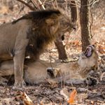 Profile Picture of Ravi Muthuswamy (@ravimuthuswamy) on Instagram