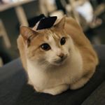 Alvin Ding - Instagram Profile Picture of Alvin Ding (@aoweid) on Instagram