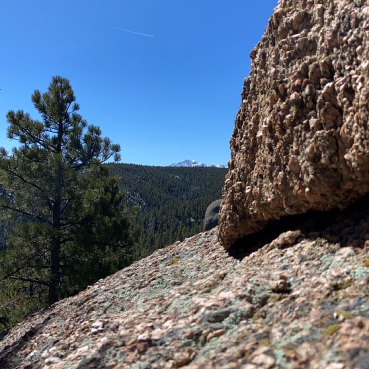 Profile Picture of David Raley728 (@@davidraley) on Tiktok