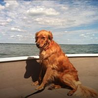 Profile Picture of Andrew Lantow (@alantow) on Pinterest