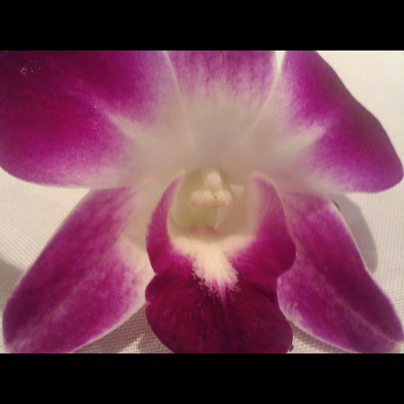 Profile Picture of Danielle Branchaud (@danib88) on Poshmark