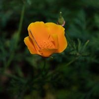 Profile Picture of Pam Hunter (@pam-hunter-4) on Quora