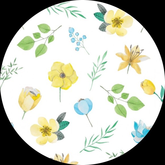 Profile Picture of Jasmine Li (@jasminelannli) on Poshmark