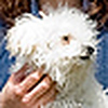 Profile Picture of David Wolfe (@wolfe27) on Flickr