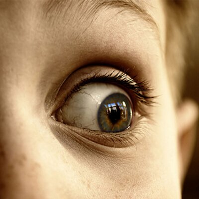Profile Picture of Daniel Grubbs (@BunnyBoiIer) on Twitter