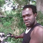 Profile Picture of Ricky Findlay (@ricky.findlay) on Instagram