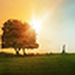 Profile Picture of Çalı Kuşu (@Çalı kuşu) on Flickr