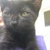 Profile Picture of Ruby Dee (@ruby.dee.18847) on Facebook