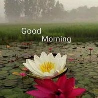 Profile Picture of Ratna Mukherjee (@RatnaMu47208859) on Twitter