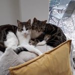 Profile Picture of James Sewell (@james.sewell.16) on Instagram