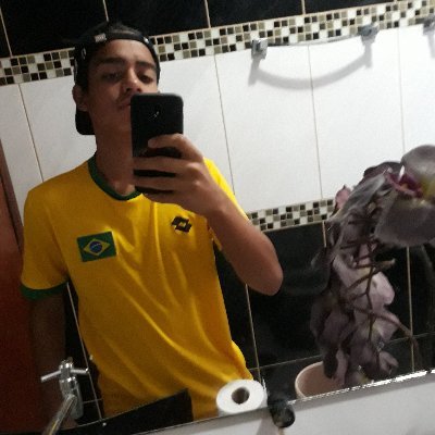 Profile Picture of Nicolas Matheus Celestino Da Silva (@Nicolas20864054) on Twitter