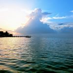 Profile Picture of Shelly Denning (@shelly.denning.735) on Facebook