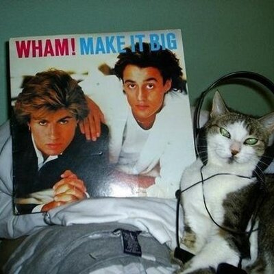 Profile Picture of Dawn Weiner (@ItsDawnWeiner) on Twitter