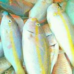 Profile Picture of daqhmee (@fleurantjeandaniel) on Instagram