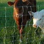 Jimmy VanZandt - Instagram Profile Picture of Jimmy VanZandt (@vanzandtjimmy) on Instagram