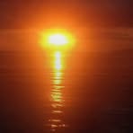 Profile Picture of Matthew Palmiano (@matthew.palmiano) on Facebook