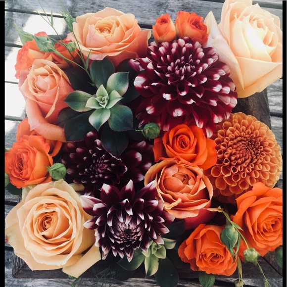 Profile Picture of Jo Deprez (@margiemay809) on Poshmark