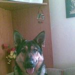 Profile Picture of Martin Gargulák (@martingargulak) on Instagram