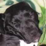 Rita Timmerman - Instagram Profile Picture of Rita Timmerman (@rita.timmerman.98) on Instagram