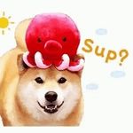 Profile Picture of Nicholas Boldt (@crimsonboldt) on Instagram