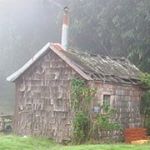 Profile Picture of Jesse Forbus (@fogwoodworks) on Instagram