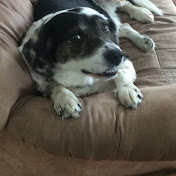 Profile Picture of Kyle McCoy (@kylemccoy9520) on Youtube