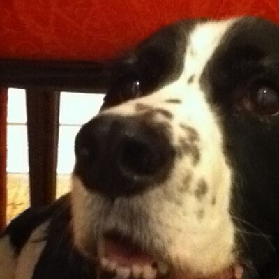 Ken Stillwell - Twitter Profile Picture of Ken Stillwell (@southborohockey) on Twitter