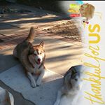 Profile Picture of Barbara Daniels (@barbara.daniels.90410) on Instagram