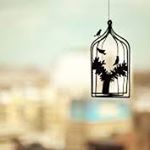 Profile Picture of Raghavan Srinivasan Bangalore (@raghavansrinivasanbangalore) on Instagram