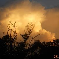 Profile Picture of Fiona Edwards (@fiona-edwards-20) on Quora