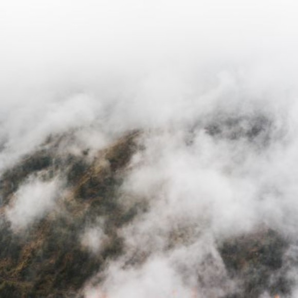 Barth fenatis Barth - Poshmark Profile Picture of Barth fenatis Barth (@vjuqj3yclbcxj) on Poshmark