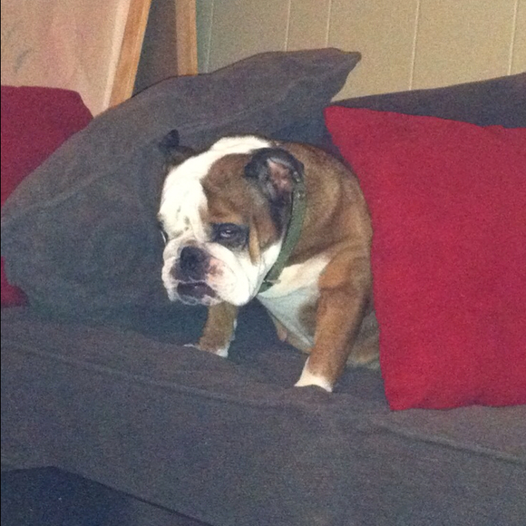 Christine Gerardi - Poshmark Profile Picture of Christine Gerardi (@cbjnj) on Poshmark