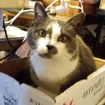 Profile Picture of Da So Bo (@david.boose.7) on Instagram