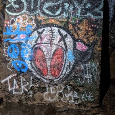 Profile Picture of Michael Antonini (@MichaelAntonin8) on Twitter