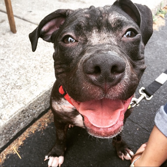 Profile Picture of Alicia Tegtman (@ilc537) on Poshmark