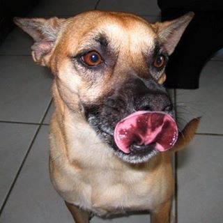 Profile Picture of Michael Bomba (@michael.bomba.94) on Facebook