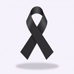 Profile Picture of Jose 