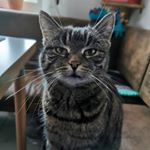 Profile Picture of Travis Steiniger (@travis.steiniger) on Instagram