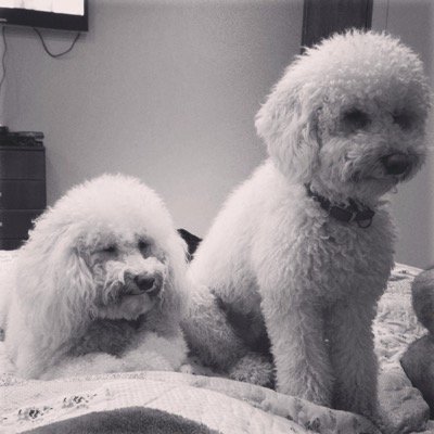 Profile Picture of Leticia Pardo (@pardoleti) on Twitter