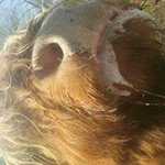 Profile Picture of Danny Madsen (@madsendanny) on Instagram