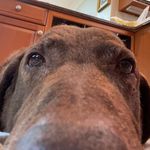 Profile Picture of John Klein (@jfklein29) on Instagram