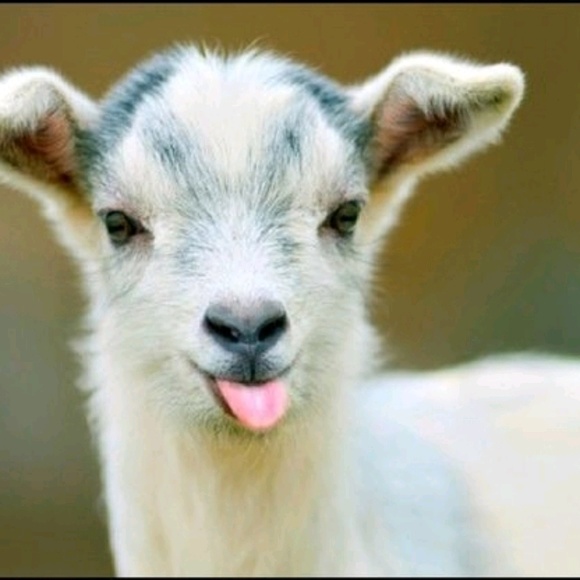 Profile Picture of Bryan Bentley (@yeltnebiob) on Poshmark