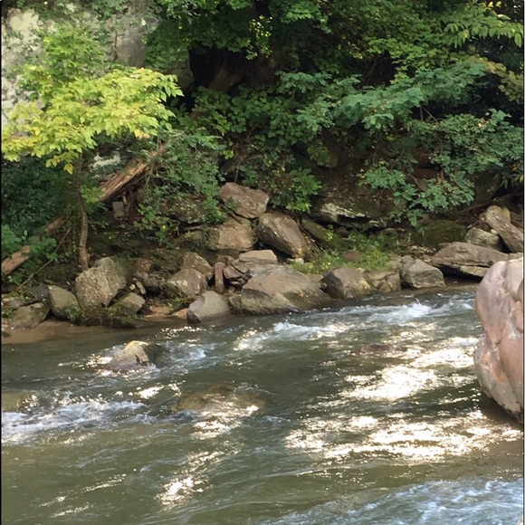 Profile Picture of April Allen (@aprilallen204) on Poshmark