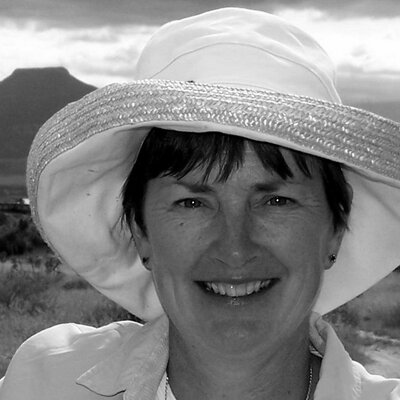 Profile Picture of Jana DeVries VanWyk (@JanaDVanWyk) on Twitter