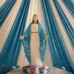 Profile Picture of Paulette Paul (@paulette.paul1) on Tiktok