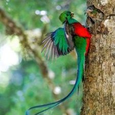 Randall Lopez - Twitter Profile Picture of Randall Lopez (@randalllopez919) on Twitter