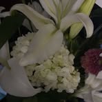 Profile Picture of Brynn Mcclune (@Brynn-Mcclune) on Facebook