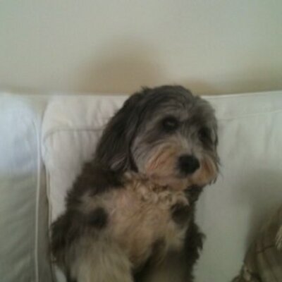 Profile Picture of Paul Chappell (@PaulChappell4) on Twitter